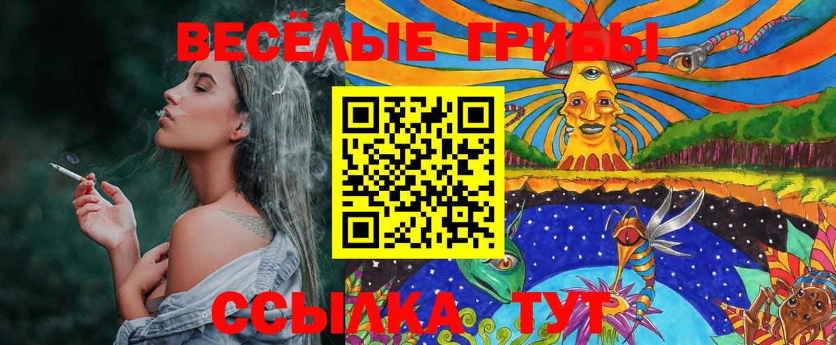 Москва  Галлюциногенные грибы прущие грибы  Псилоцибиновые грибы MAGIC MUSHROOMS  Вход с VPN 